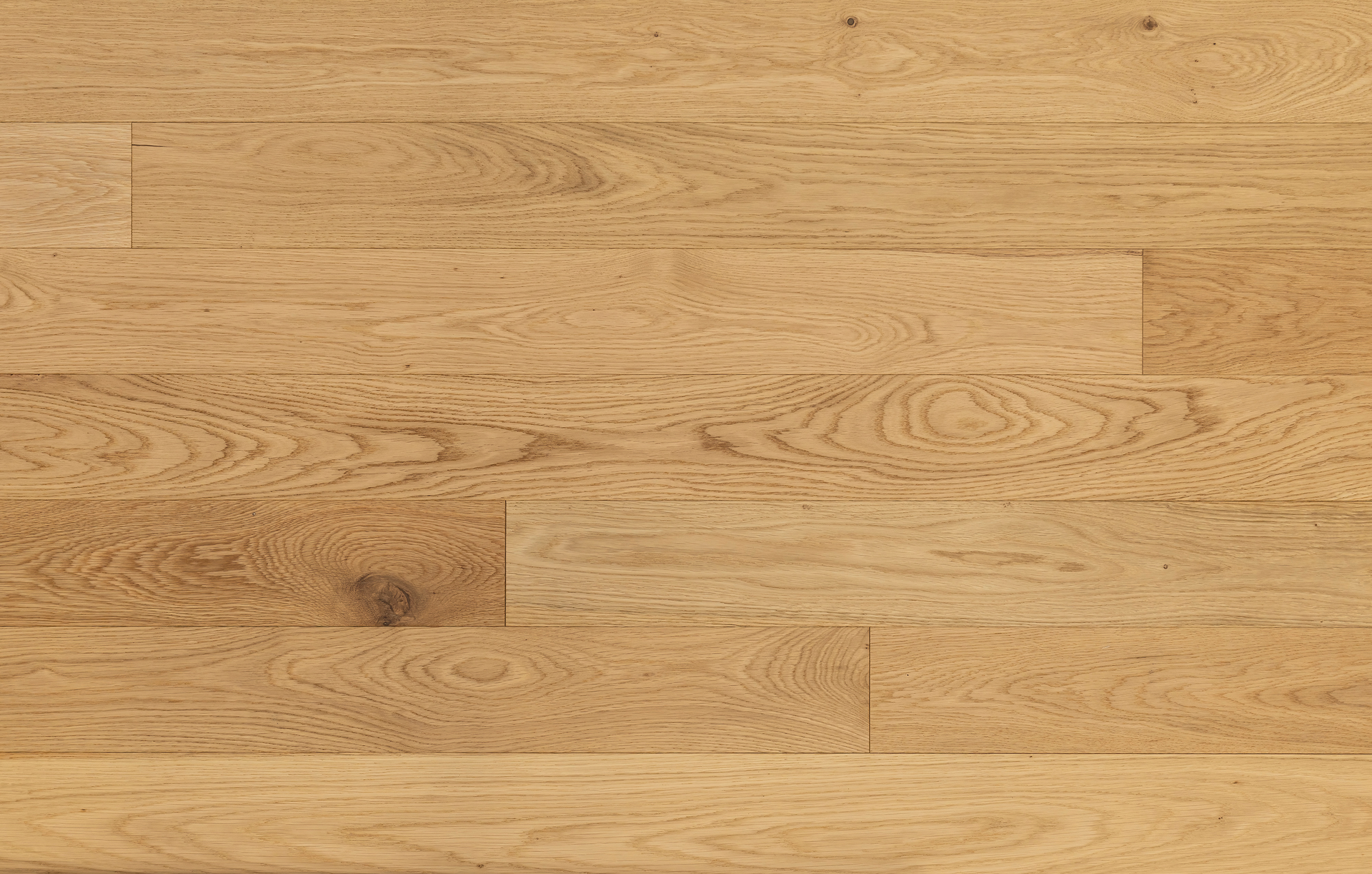 Armonie